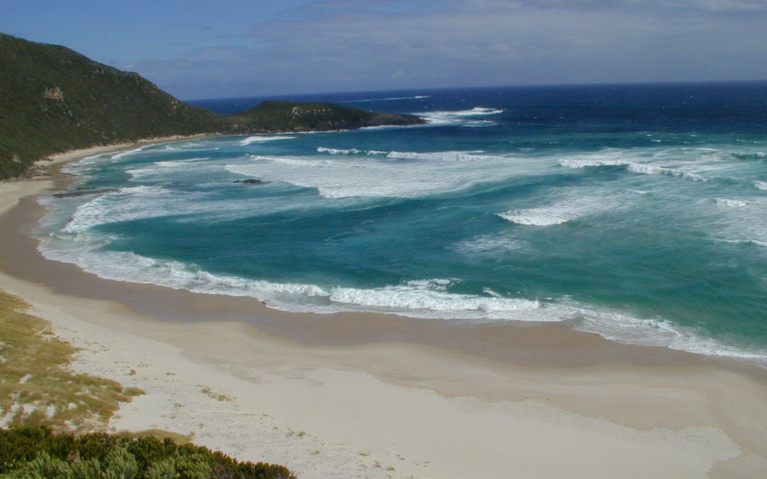 Australia Travel Diary Part 7