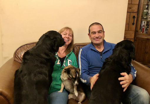 Pet sitting 3 dogs