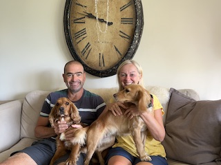Pet sitting two cocker spaniels