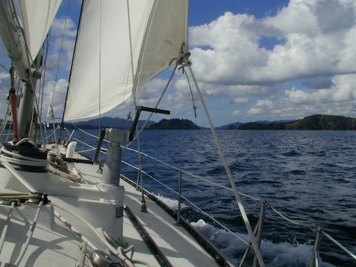 Sailing in the Bay of Islands, New Zealand