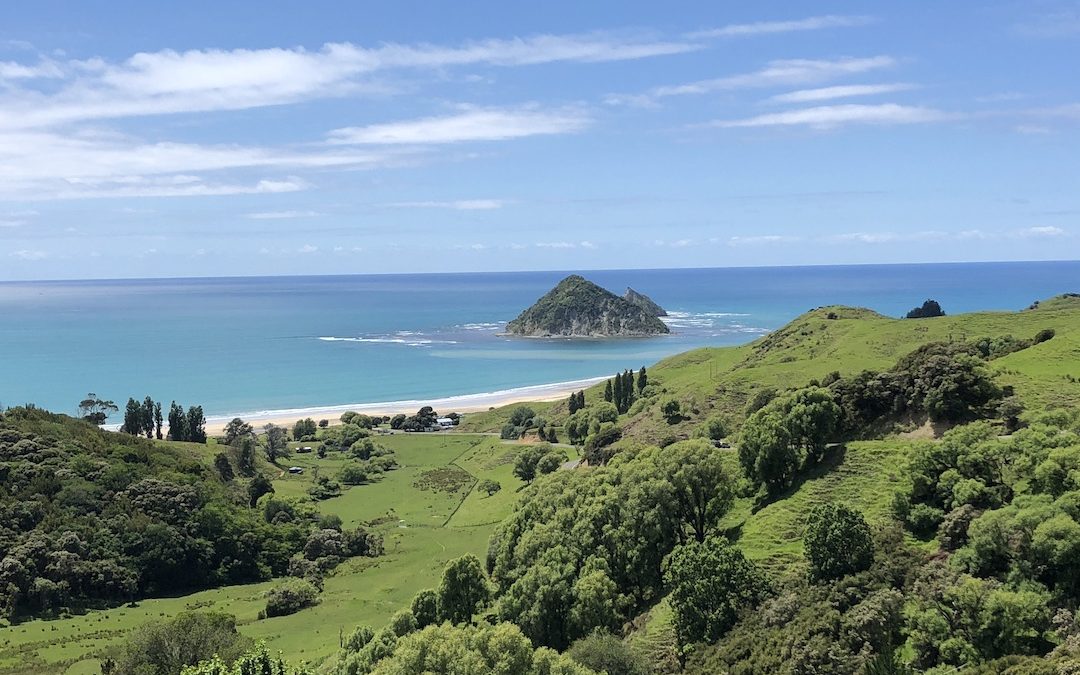 Day 18 New Zealand cycling tour