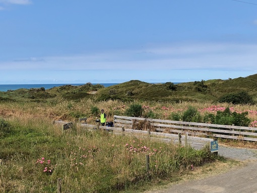 Sand dunes on Motu Dunes Trail