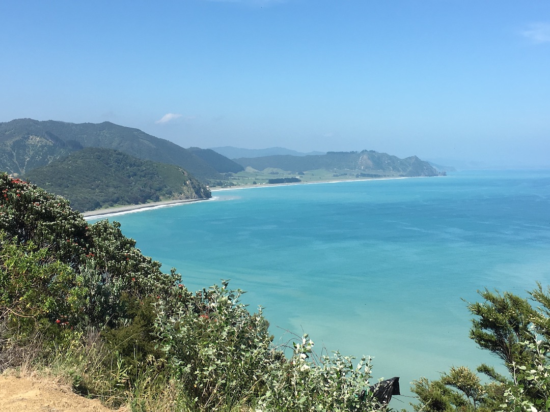 New Zealand East Coast A view of New Zealand east coastline
