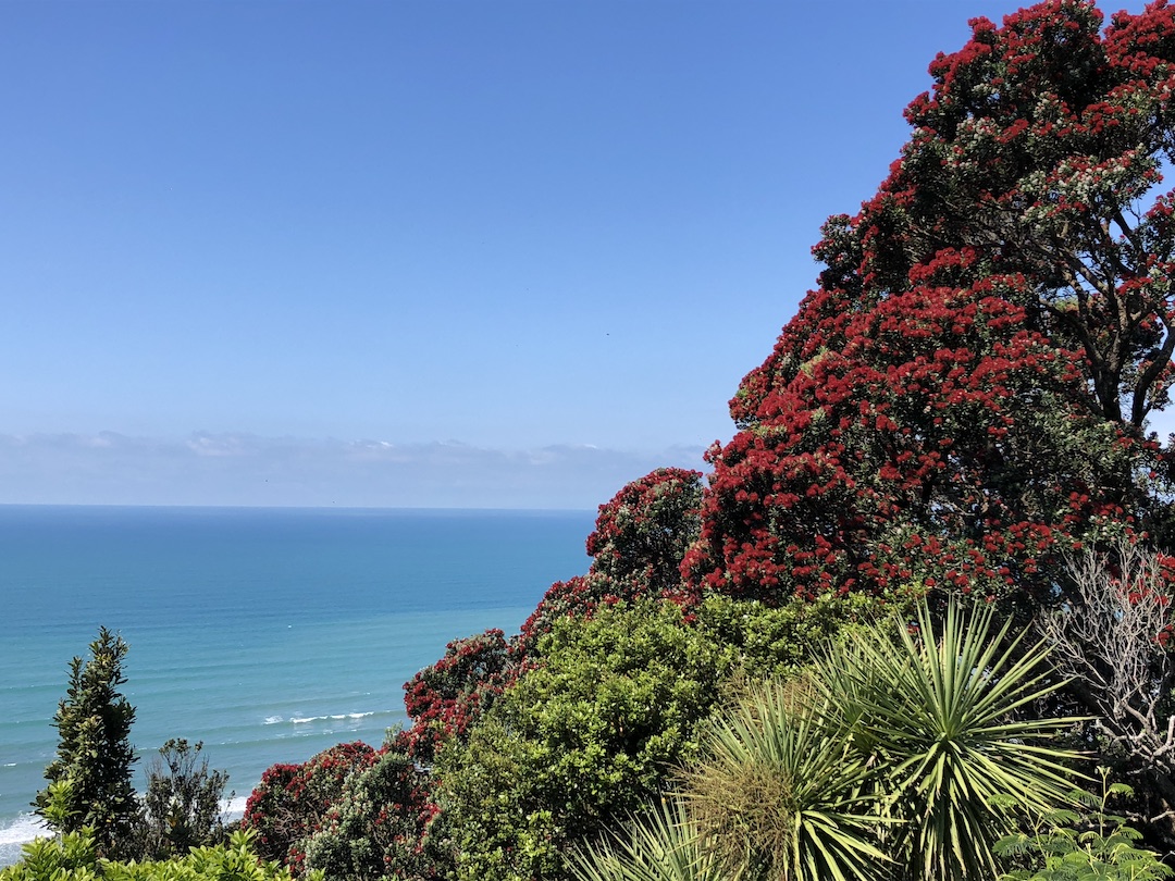 Ohope New Zealand