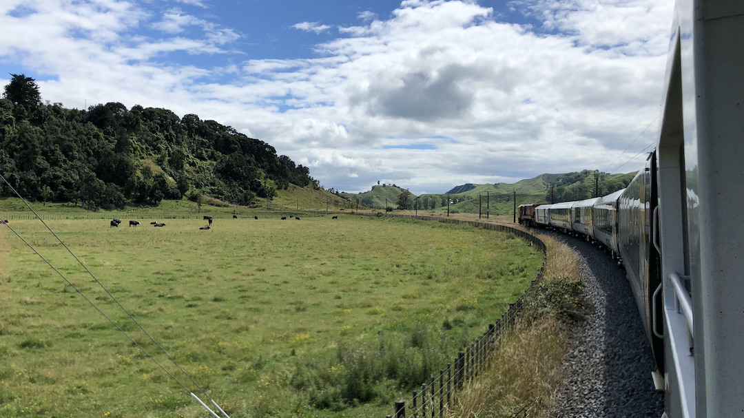 Reflections on board Dora, the Northern Explorer Train