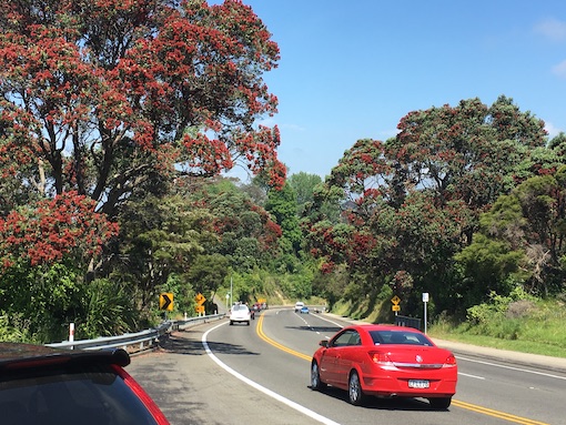 Cars moving on State Highway 35 New Zealand