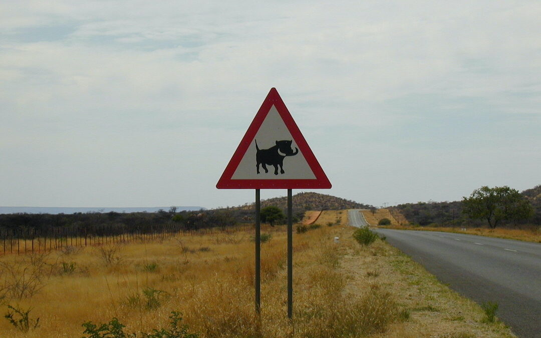Look at the buffoons in Botswana